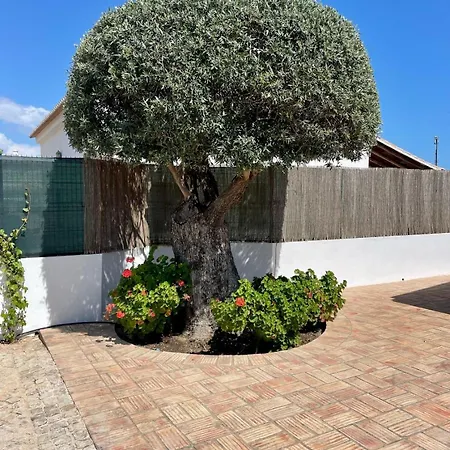 Ben - Private Pool Garden, Sun Day Albufeira