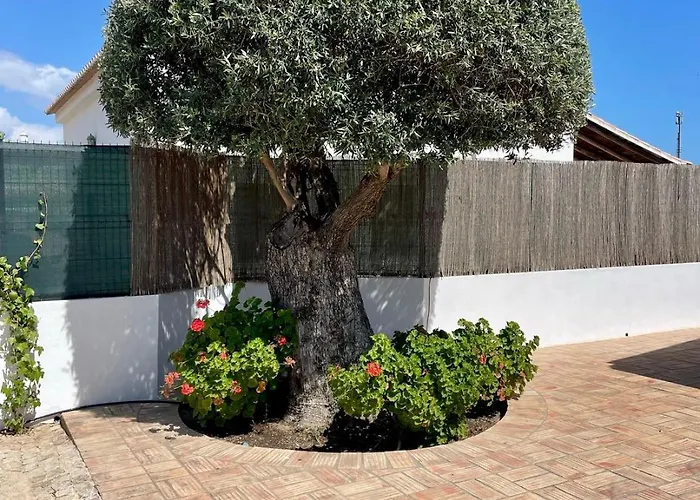 Ben - Private Pool Garden, Sun Day Albufeira